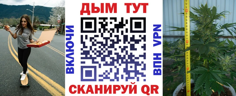 Конопля AK-47  Гусиноозёрск 